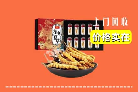 阜新市新邱回收冬虫夏草